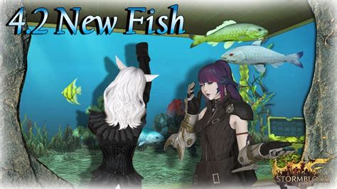 when wishes are fishes ffxiv.